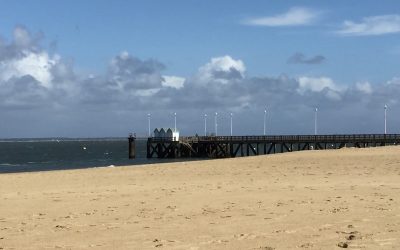 Bassin d’Arcachon : découvrez un joyau naturel français