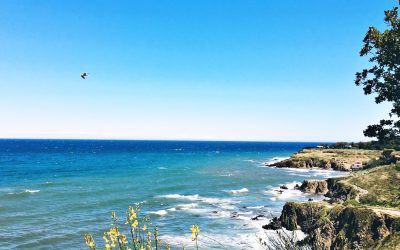 Offrez vous une pause à Argelès Sur Mer