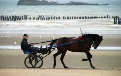 Visiter la Normandie en été