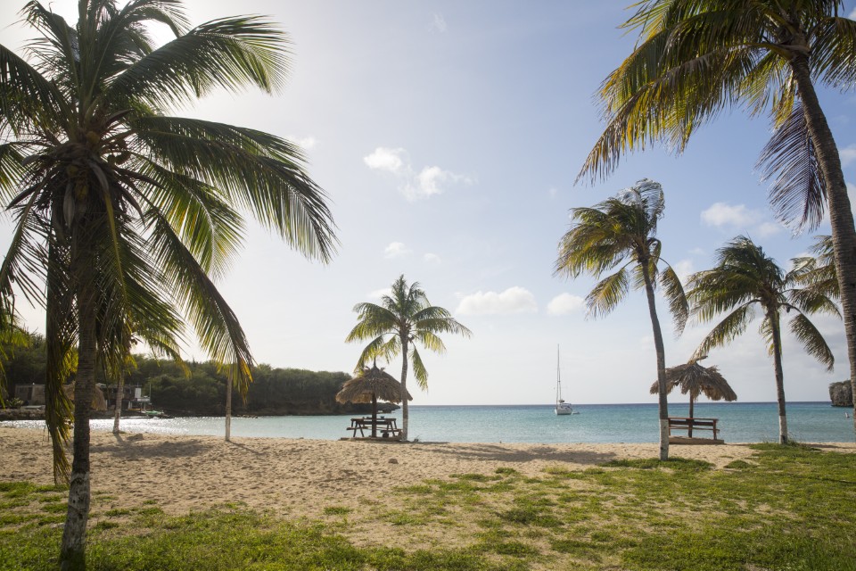 Plage Santa Cruz en Guadeloupe avec palmiers, idéale pour comparer martinique ou guadeloupe en vacances dans les Caraïbes